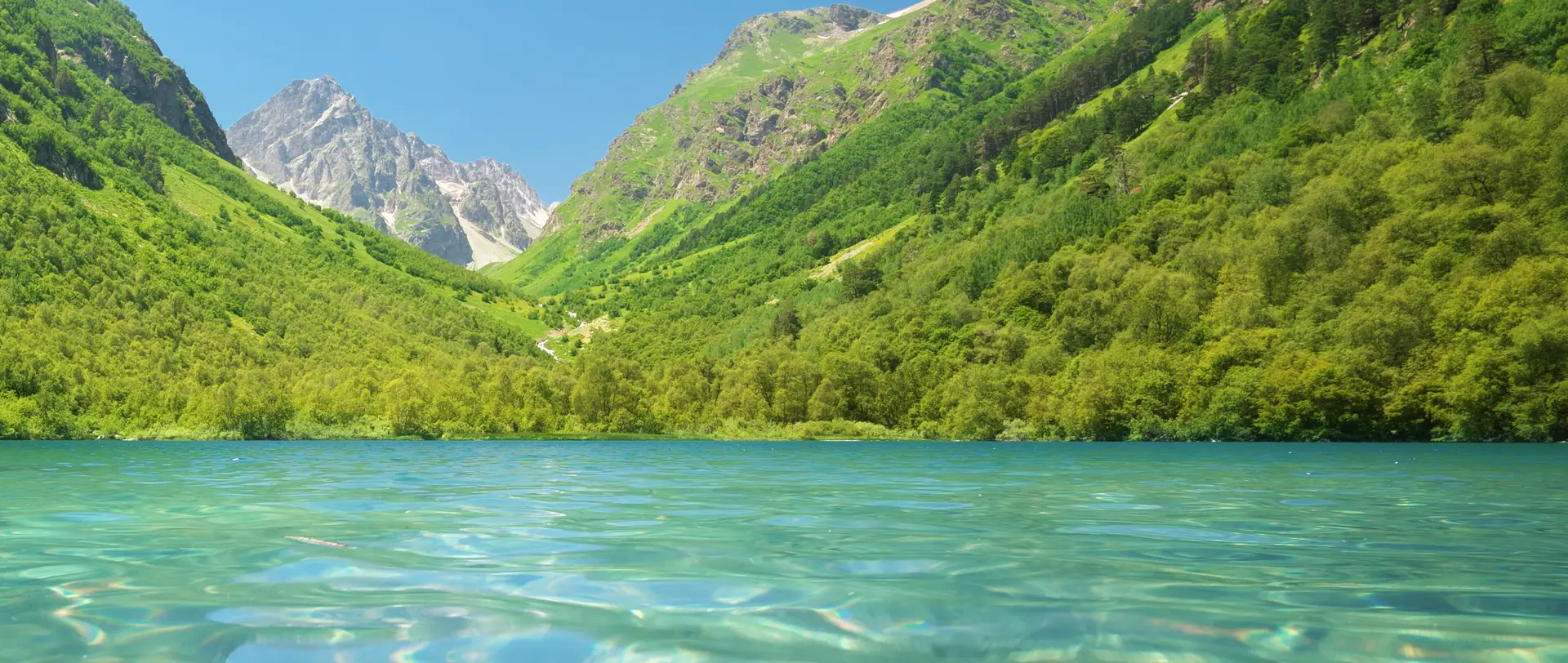 Wie Zellen Wasser aufnehmen