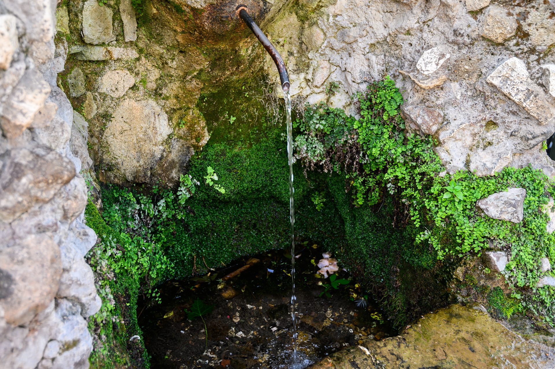 Brunnen- und Zisternenwasser prüfen - Mallorca